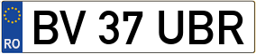 Trailer License Plate